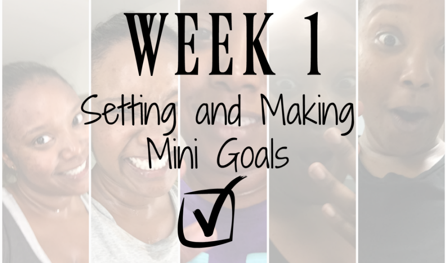 Week 1: Setting and Making Mini Goals
